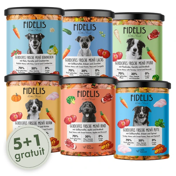 NEuKennenlern-Bundle: Frische Menüs im Glas (5 + 1 Gratis)