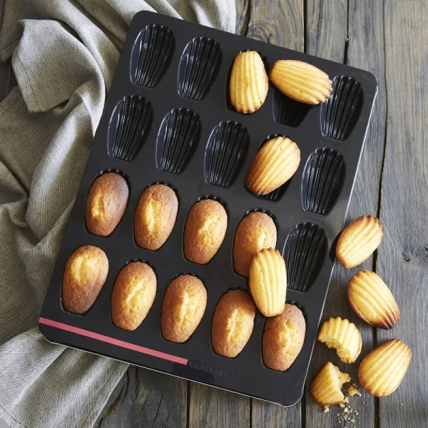 Moule 20 Madeleines OHRA®
