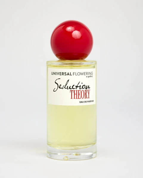 SEDUCTION THEORY