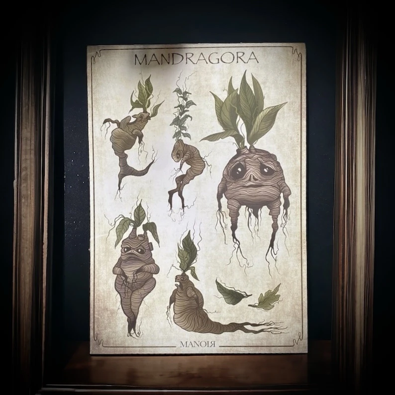 Mandragora. Impression A4.