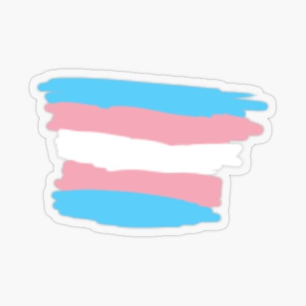 drapeau trans | Sticker