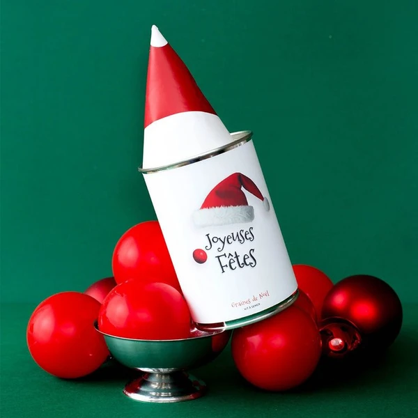 Kit à Semer - Joyeuses Fêtes Bonnet Noël