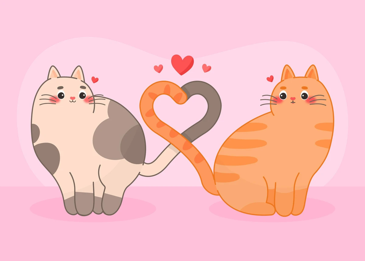Chats