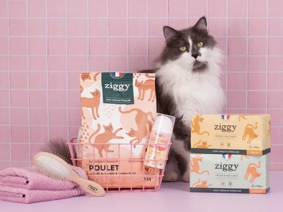 Croquettes Chat Stérilisé Sans Céréales 1kg - Poulet