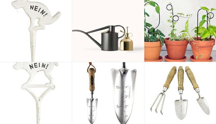 Plantes et accessoires