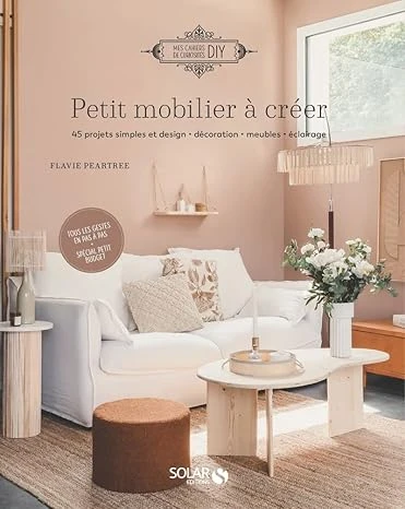 Petit mobilier à créer - 45 DIY simples et design: décoration, meubles, éclairage Broché – Illustré, 22 septembre 2022