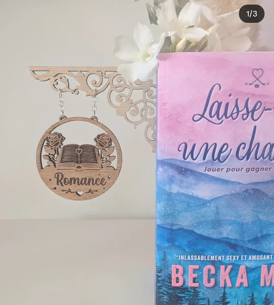 Enseigne de bibliothèque Romance