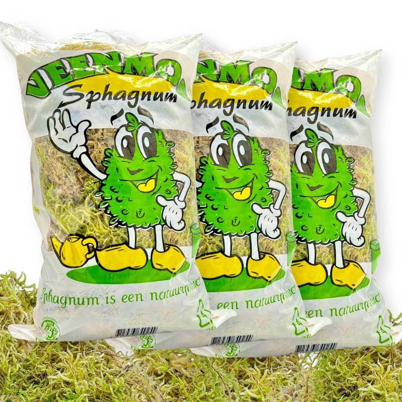 Pack Plant addict Sphaigne Vivante - Sphaigne pour plante - Mousse de sphaigne