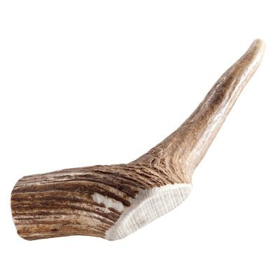 Chewies Bois de cerf pour chien