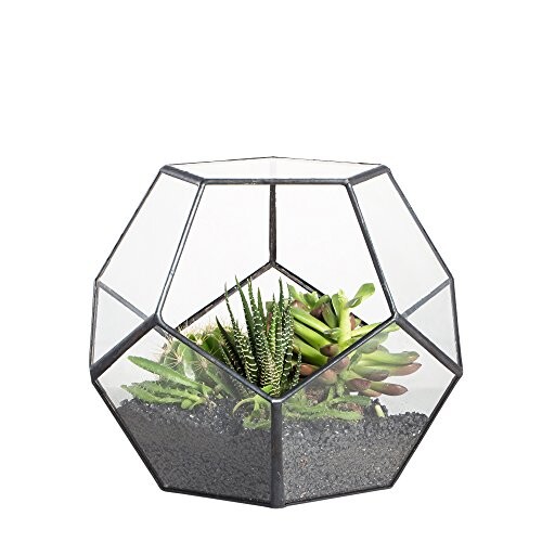 Terrarium en forme de dodécaèdre et plaques de verre pentagonales pour plante Transparent, claire, Taille
