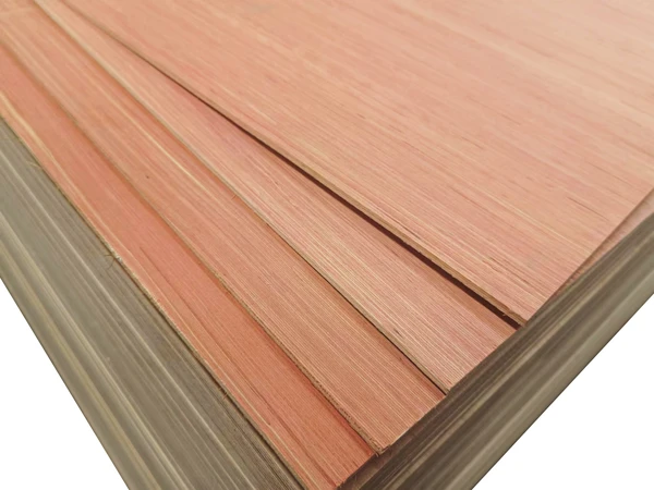 Panneau multiplex Hardwood Plus - Eucalyptus bois dur - 125x61cm - 3,6mm