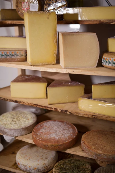 Initiez-vous à la caséologie