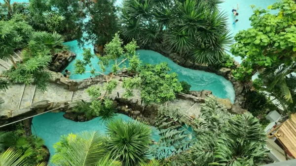 Center Parcs - Carte cadeau