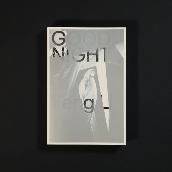 GOOD NIGHT - Feng Li — L'INAPERÇU