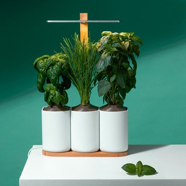 Jardin potager d'intérieur Lilo 4 