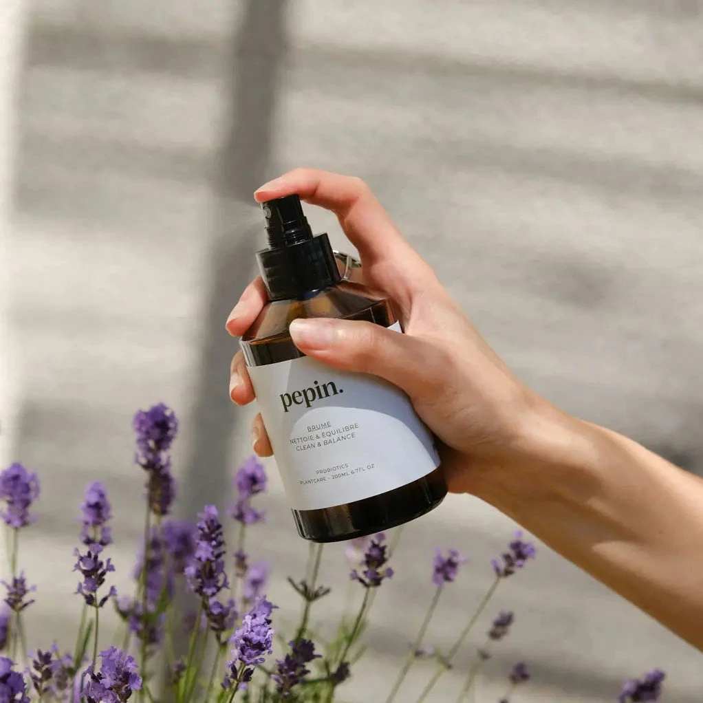 Brume nettoyante pour plantes vertes