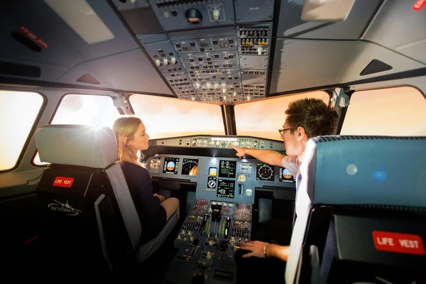 Stage Peur en avion - AviaSim - Simulateur de vol