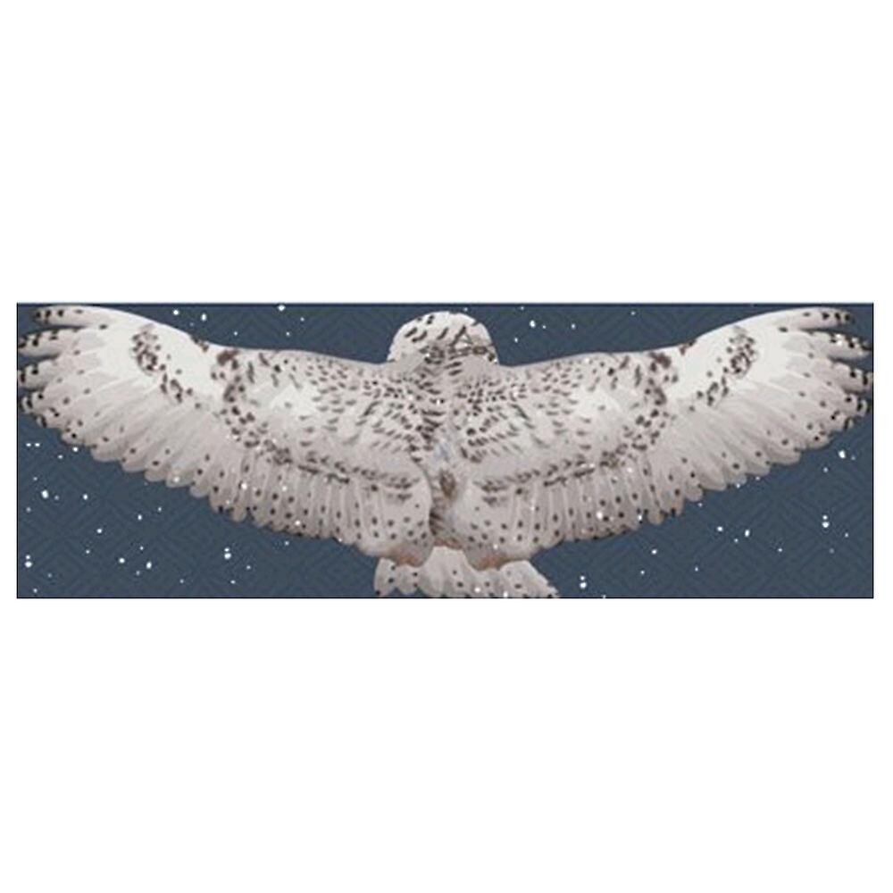 Écharpe d'aile de Harry Potter Dedwig