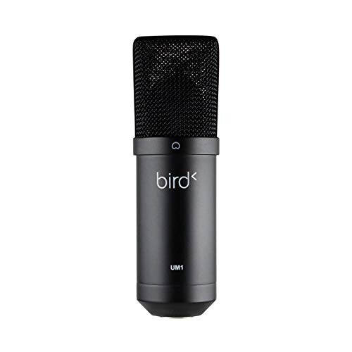 Bird UM1 Microphone USB Noir