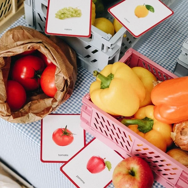 Giga mondy, 600 cartes montessori