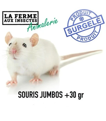 Souris Jumbo 31g+ - Congelé - sachet de 25