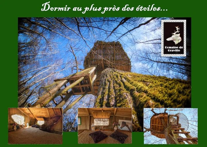 Cabane perchée 