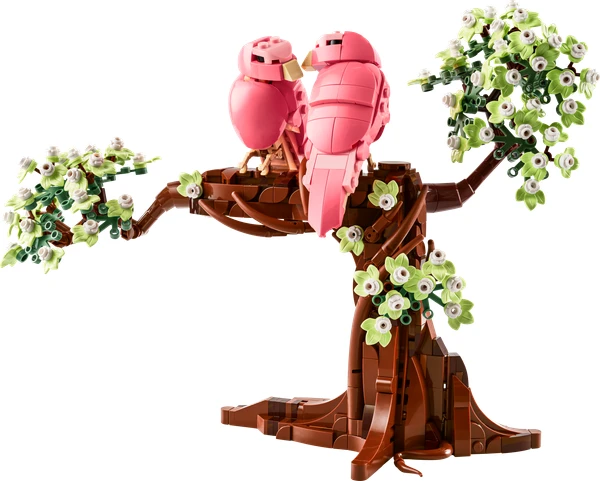 Les oiseaux amoureux