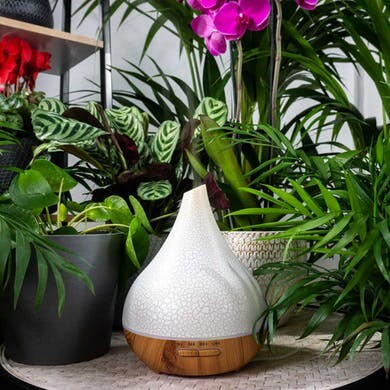 Humidificateur LED