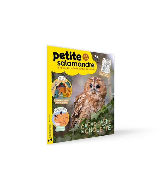 Abonnements Petite Salamandre (4-7 ans) > Boutique - Salamandre