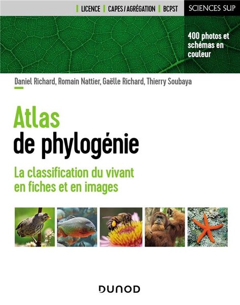 Atlas de phylogénie : la classification du vivant en fiches et en images : Gaëlle Richard,Romain Nattier,Daniel Richard,Thierry Soubaya - 2100836064 - Sciences Appliquées - Sciences Humaines | Cultura