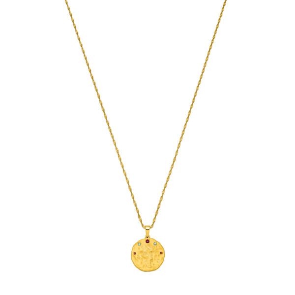 Collier Zodiac Coin Poisson