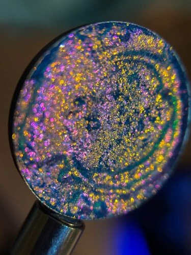 Feelin Nauti multichrome eyeshadow ships December 