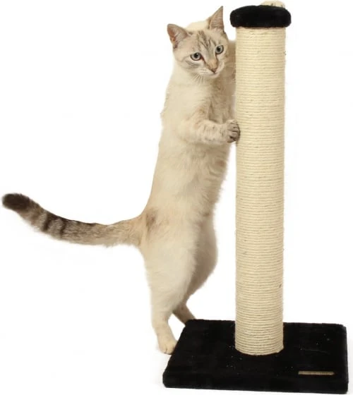 Tronc à griffer ZOLIA NOUKI - Plusieurs couleurs - 62cm