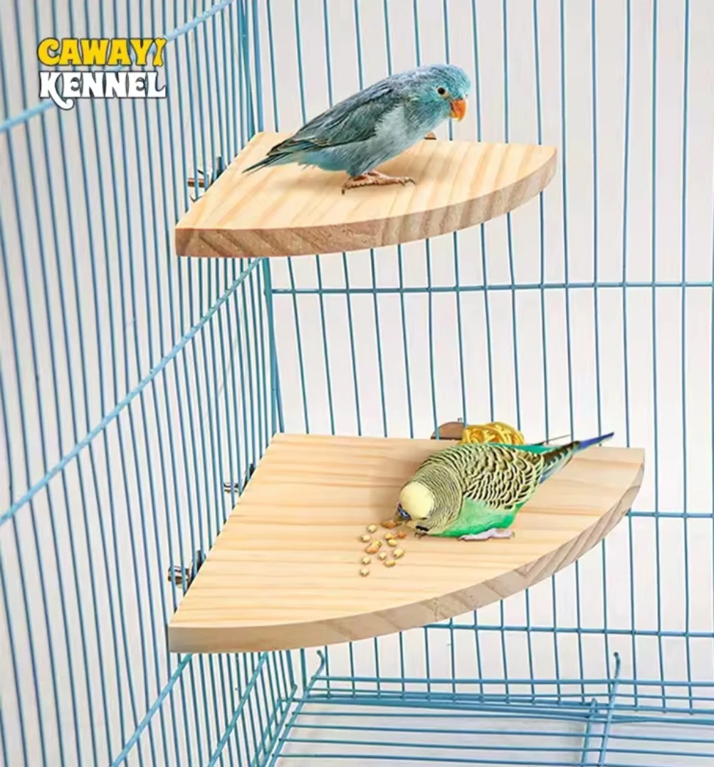 Support en bois en forme d'éventail pour oiseaux, perchoir pour petits animaux, chinchilla, tortue, hamster, accessoires de perroquet, T1 - AliExpress 15