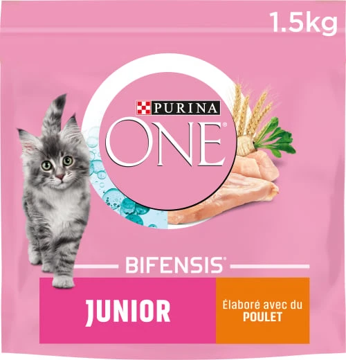 PURINA ONE Chat Junior - de 1 à 12 mois
