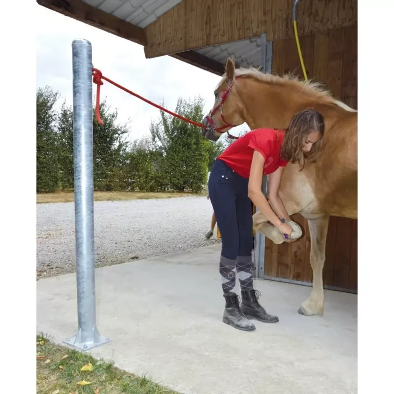 Poteau Attache pour Cheval - Pansage du cheval - Le Paturon