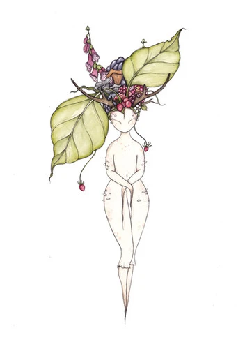 Illustration - Fée des bois