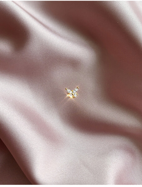 FLY