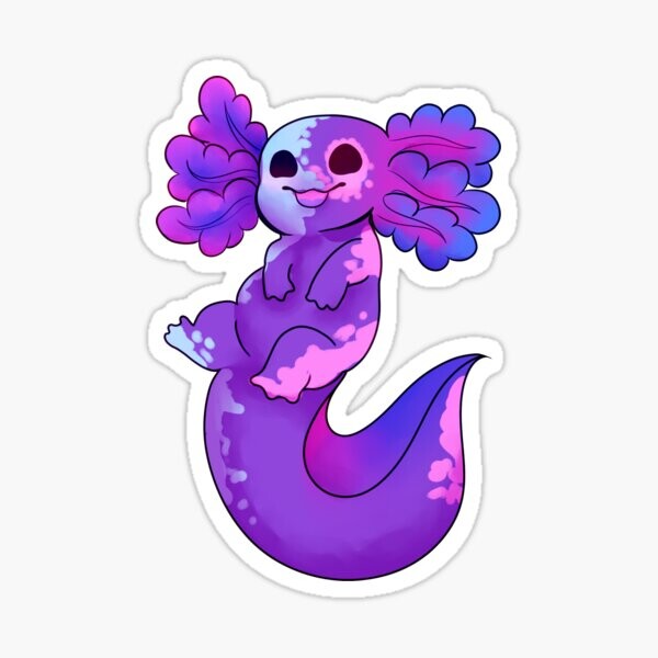 Fierté Axolotl - Bi | Sticker