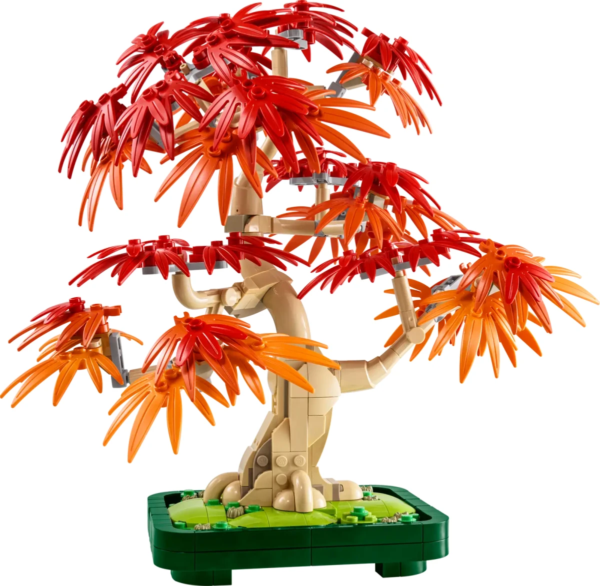 Bonsaï d’érable rouge du Japon 10348 | The Botanical Collection | Boutique LEGO® officielle FR