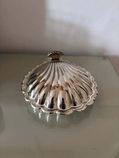 Joli coquillage argenté vintage