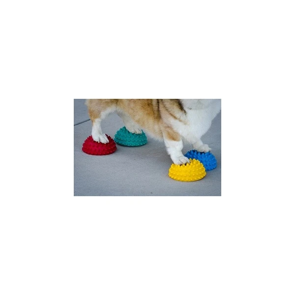Plots d'équilibre FITPAWS