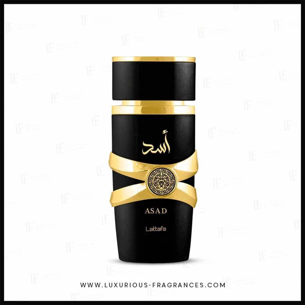 Eau de parfum Asad 100ml – Lattafa