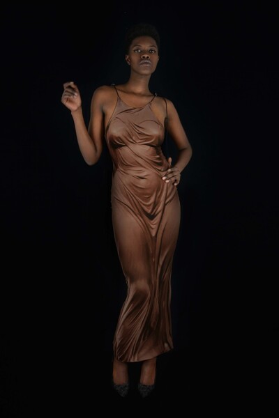 Draped Skin Gown