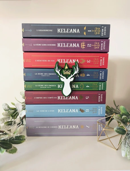 Décoration bibliothèque thème Throne of glass