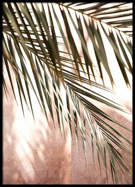 Pink Shadow Affiche
