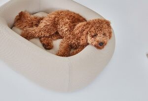 Barca Dog Bed Cover / MiaCara