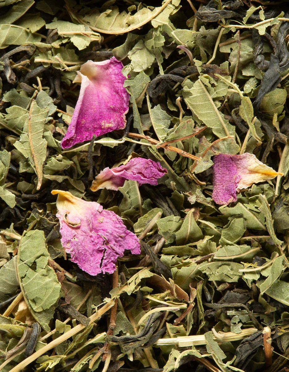 Thé Vert - Pêche verveine