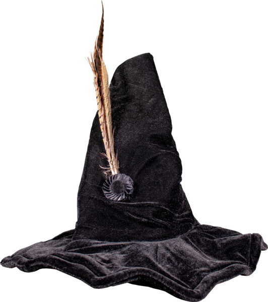 Professor McGonagall Hat | Harry Potter Hat | Popcultcha
