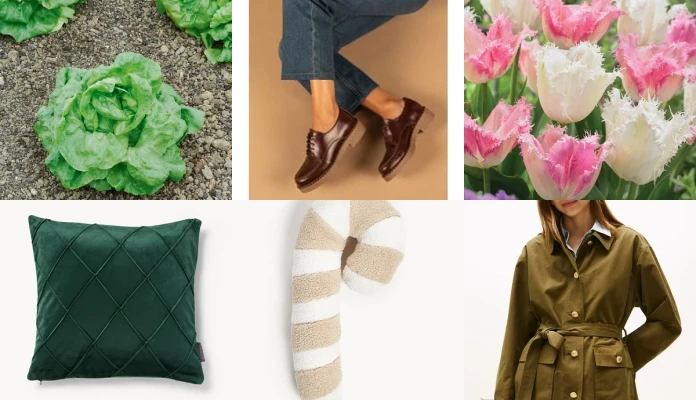 Préparation Noel 2025